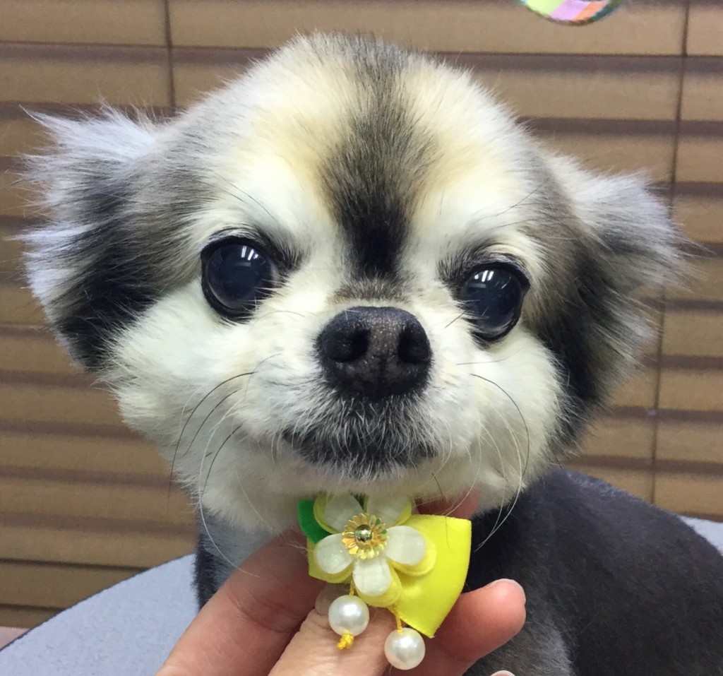 32901D47-6521-4F85-BB31-70E510C602C0