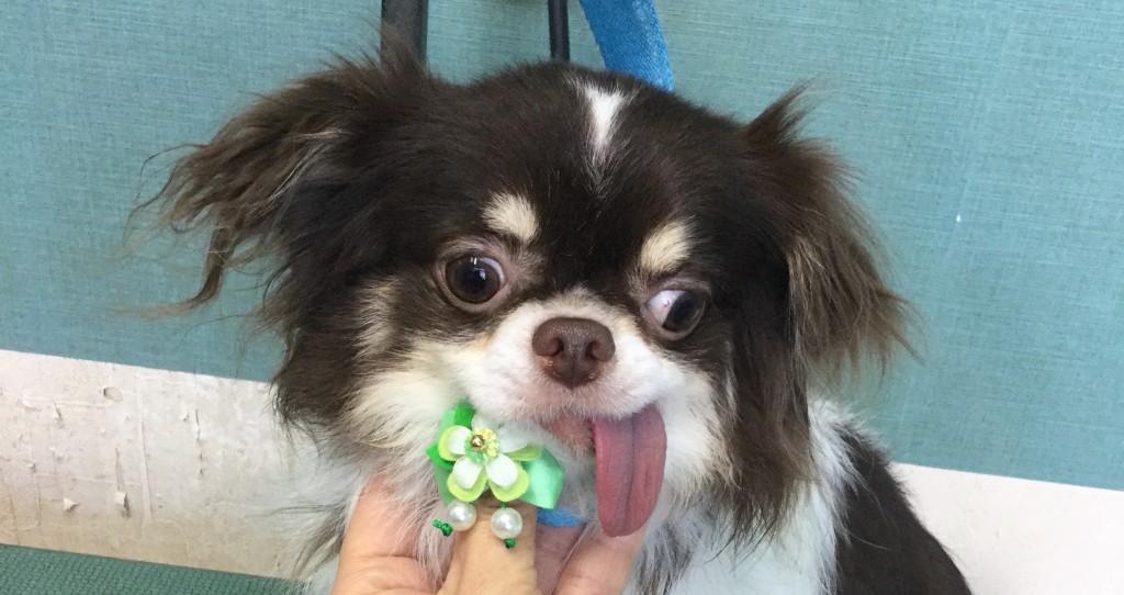 33BBD15D-F270-4768-97CB-5D279A33095F