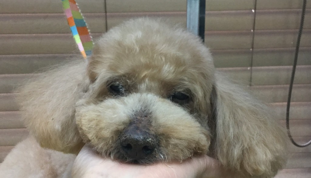 364A59D1-9954-4634-98ED-701785961DE4