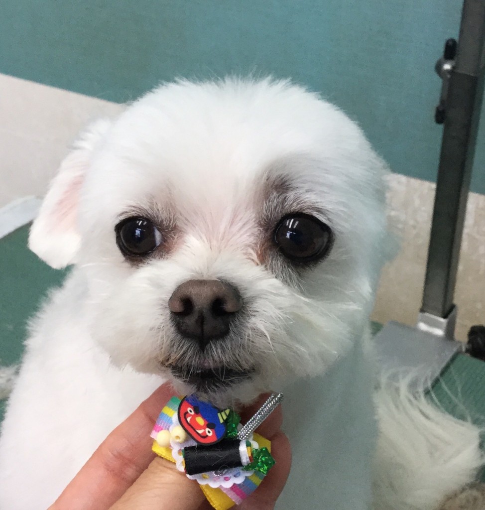 3938A202-7296-4D42-B024-ED88986B8750