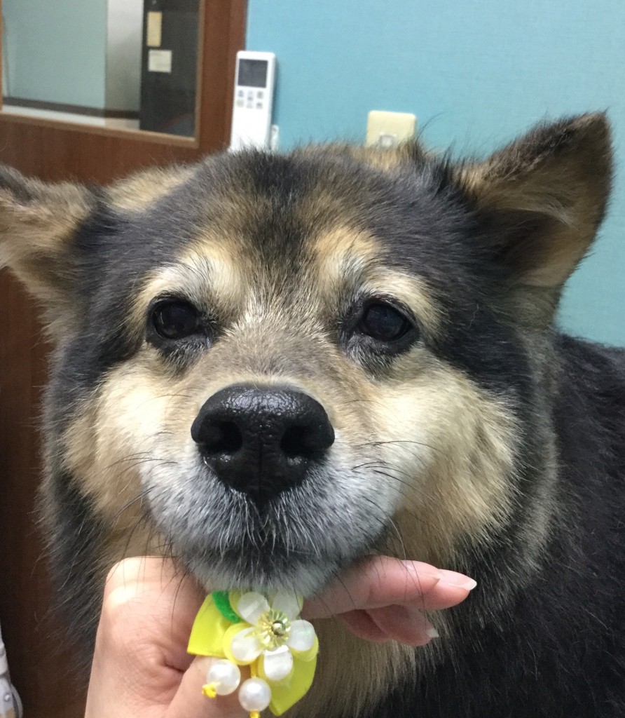 3B90D404-BEF8-4541-ACBD-61CFC302603E