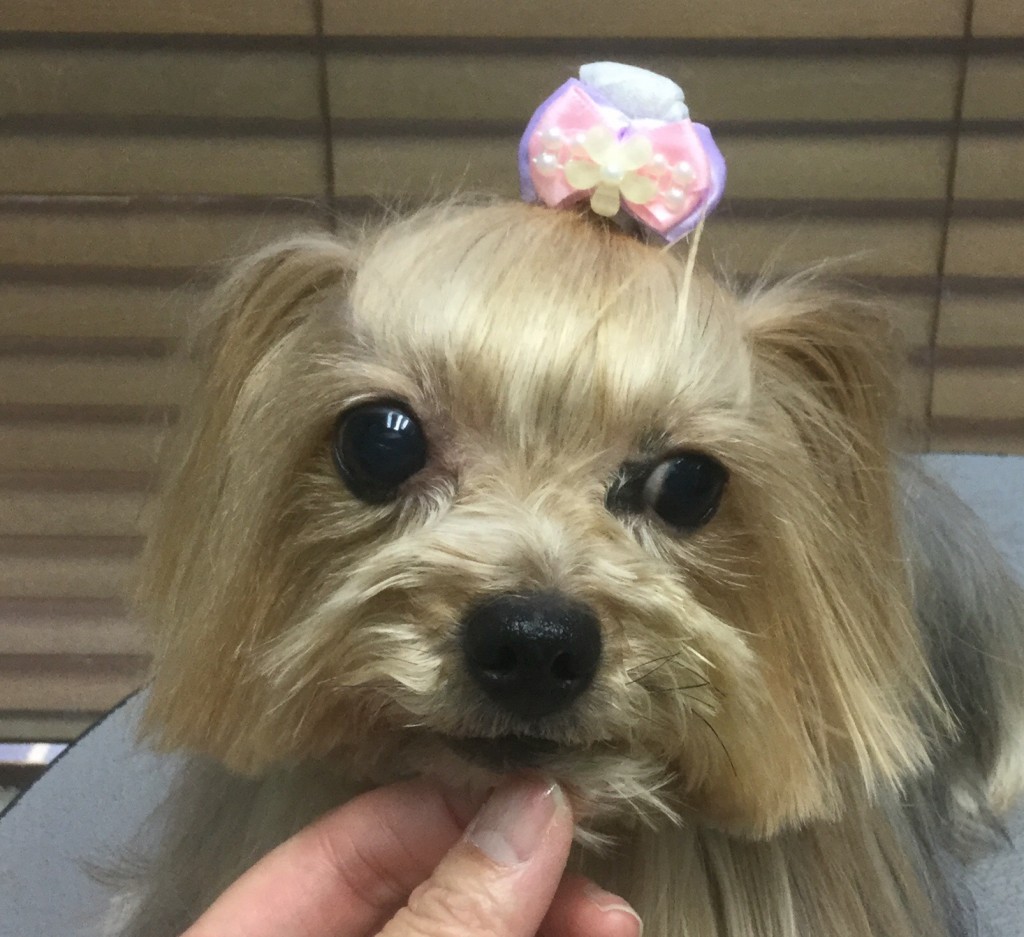 3EB7F89D-719F-418F-B3F4-24EFF9F35515