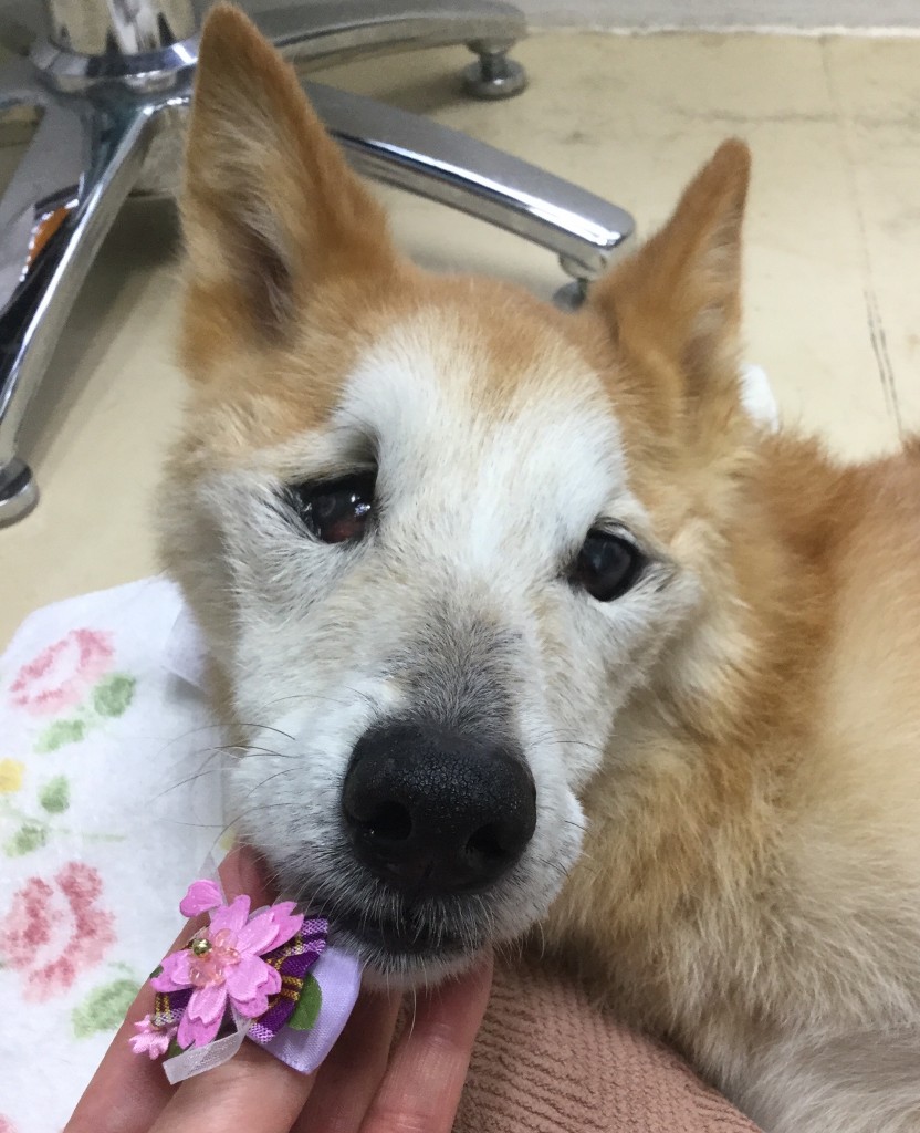 43A10FF6-41D5-4FC4-9378-DFA24E57C139