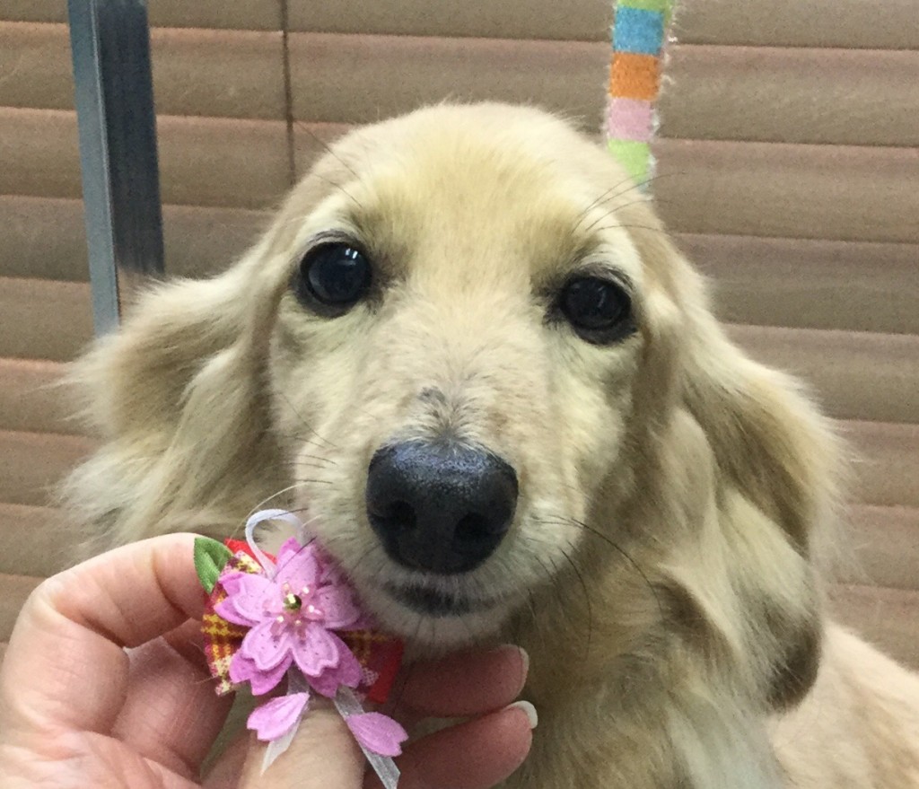 481D4B4D-34E4-4154-96FB-3AE2CAF88085