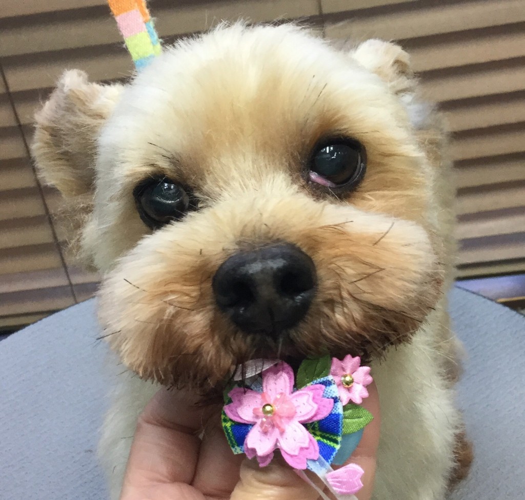 4E7C397E-5666-48A0-9A7A-3B317495BB13