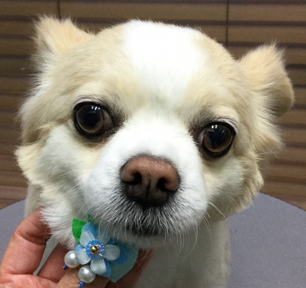 50A6D957-58FA-4109-B1B8-C8839E5062C1