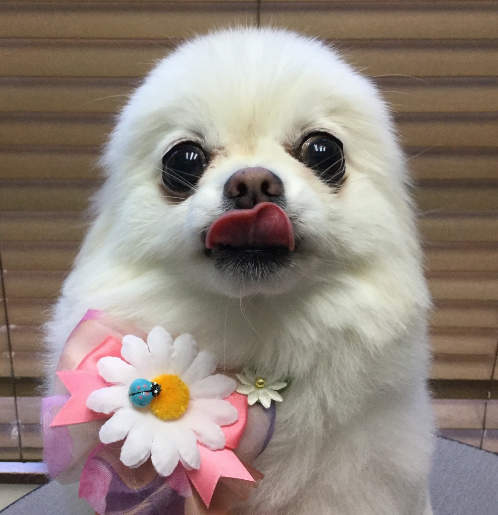 50B635DE-DB2B-4B04-AEC6-1C370E20F6E9