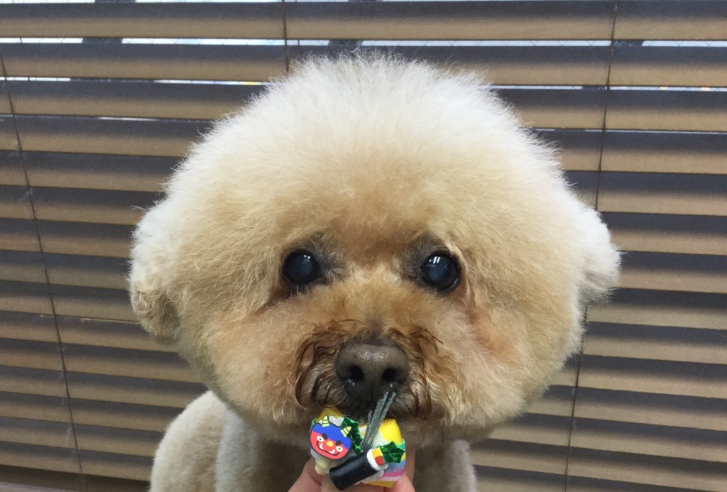 5196E247-5292-4877-8492-04C951484C73