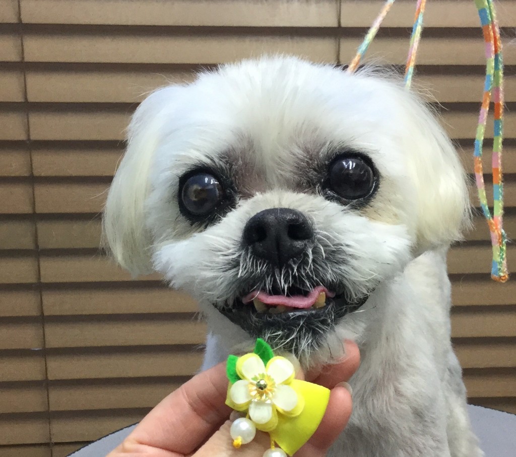 532DB4AA-66B2-4419-9B3A-8B9167E7B068