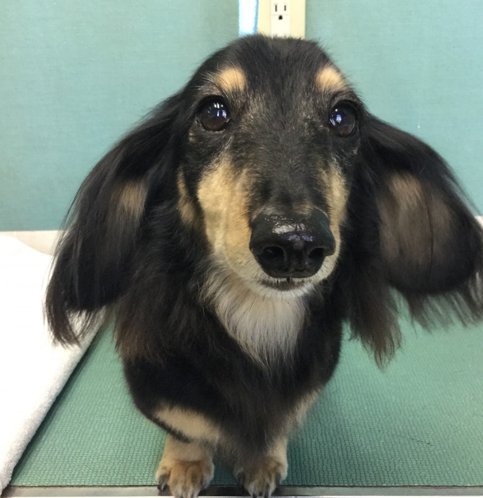 58FF836D-6E10-48FF-801D-FCA59B1B5D41