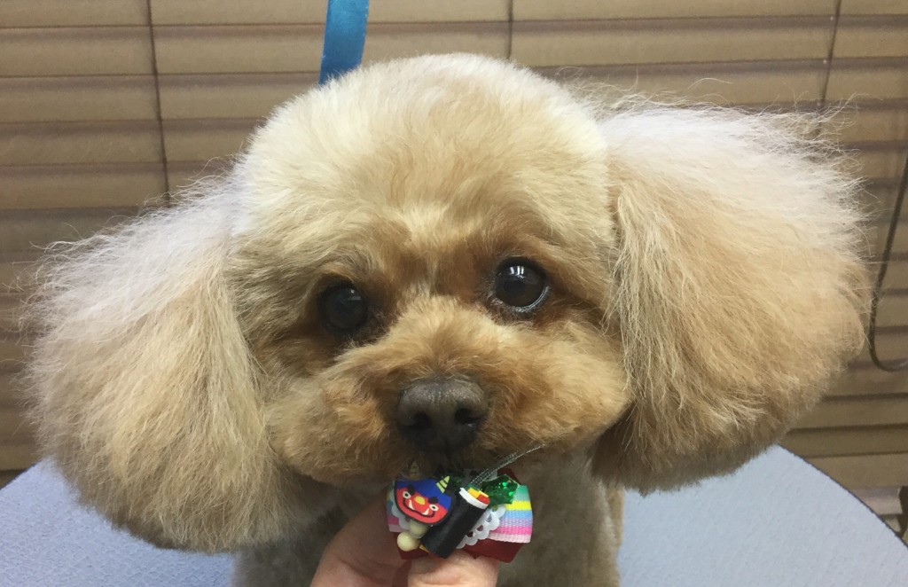 5AD5D6DE-08CA-4EBA-8F10-FA7A8B3DF24E