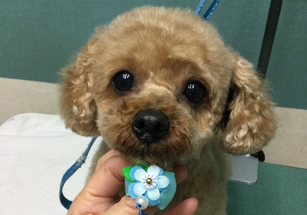 618DB33F-CF76-4B6A-94DC-AD00D1D5DB4A