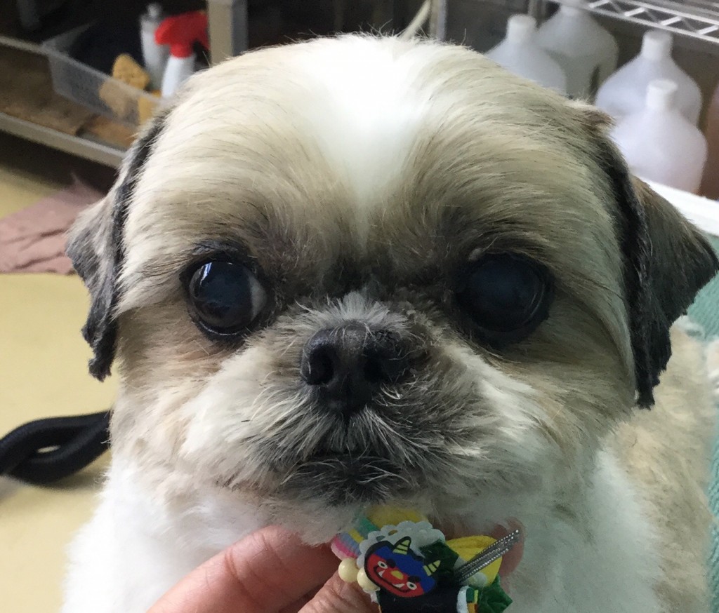 630EB377-0452-4E7B-8396-CAAAA6B7193B