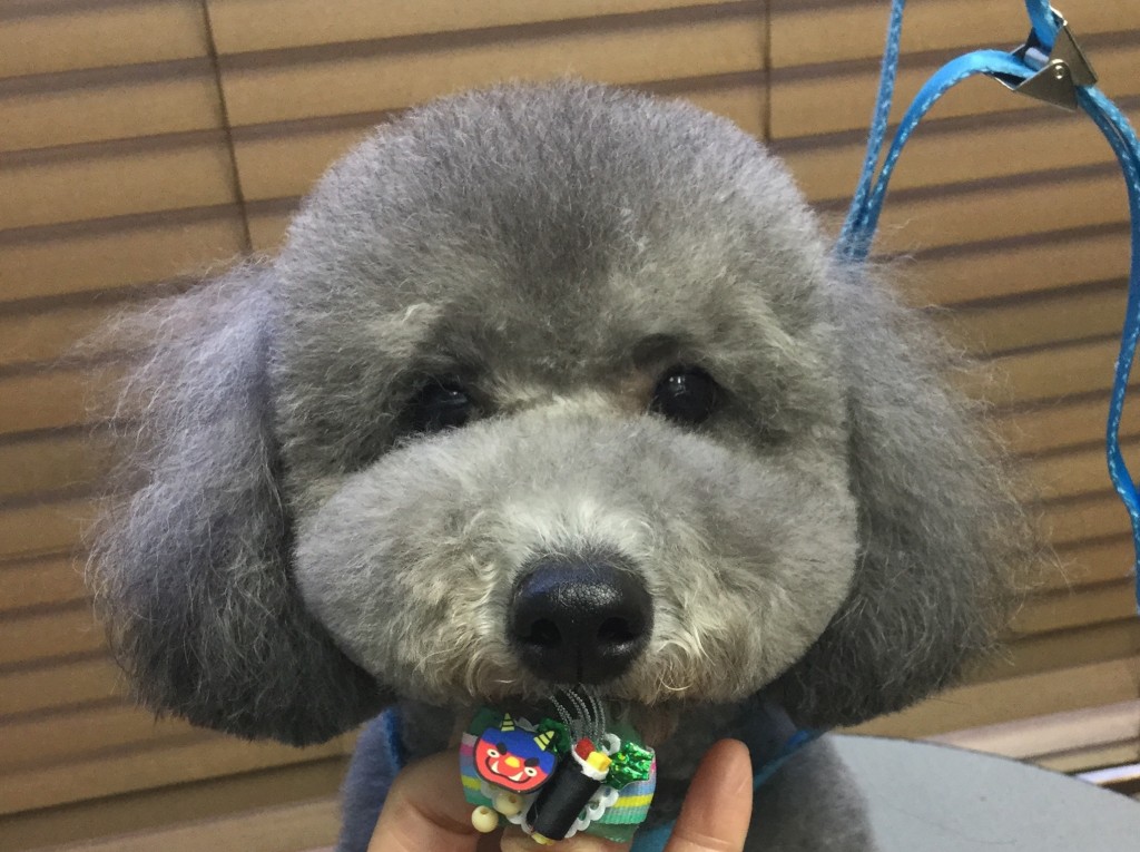 6440A49B-10B3-47EC-821B-598846951DBE