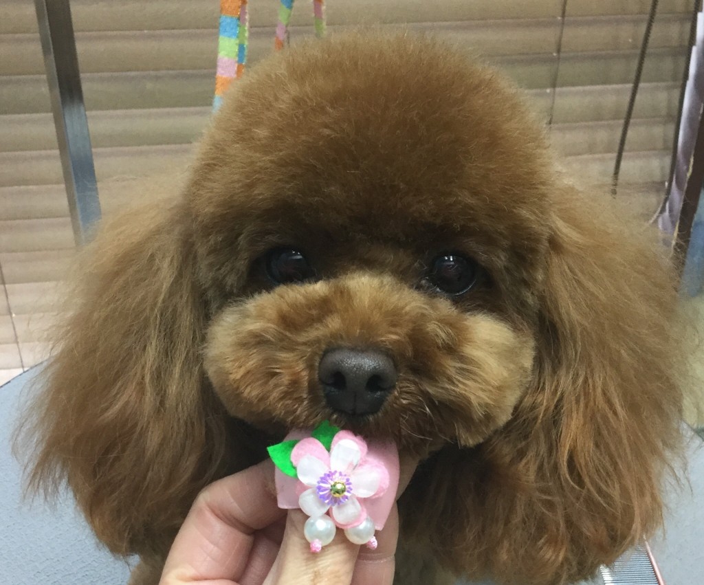 64E513EF-EB67-4515-B830-00F41B765B68