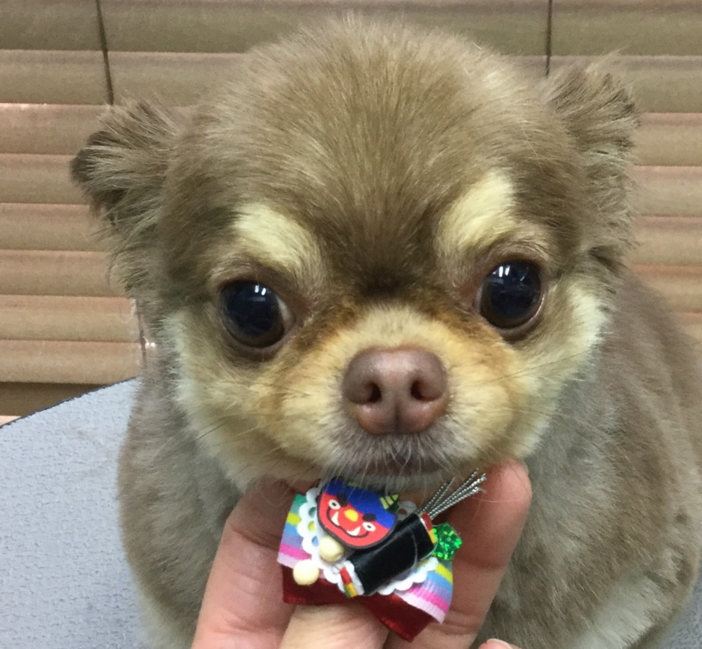 65A71772-F914-4E40-8D30-150AEAC7574B