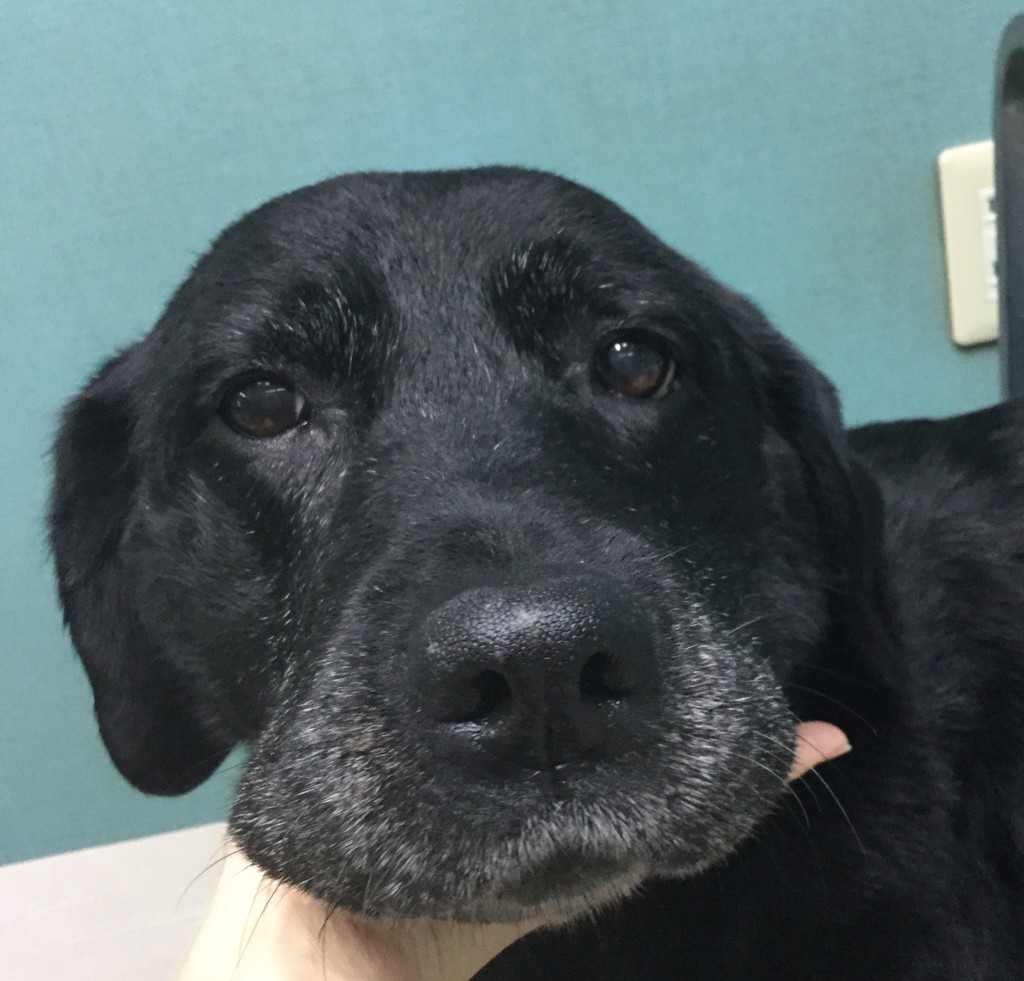 66C643DC-839F-4756-9395-7CEE7832EF4C