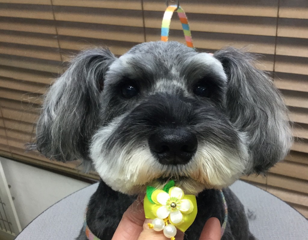 69E62DE1-0DFF-4724-A393-B87A3DEC6E3F