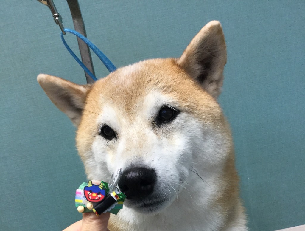 77BB0897-51FC-470F-89C7-AE0D58CD70BE