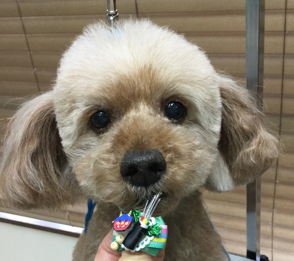 81A4C2D0-D592-4FBB-93B9-98D79737D05C