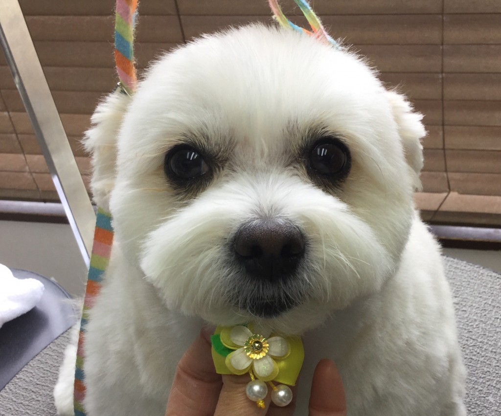 84C0562A-695A-475E-8858-BAD2D4327E06