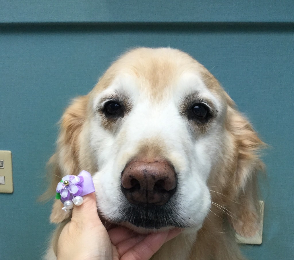 88888A1D-A3FD-4235-8928-A3C3FFC25782