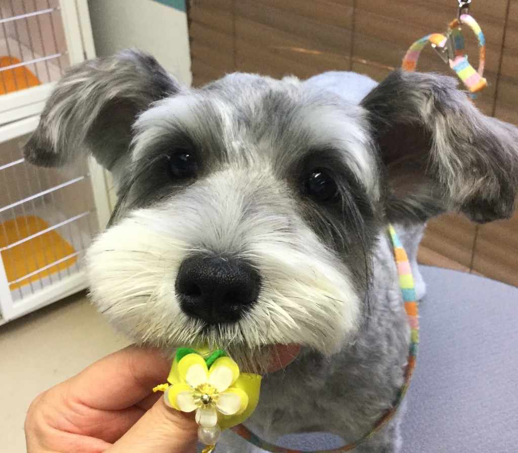 8BB5B7ED-1186-4830-85A2-8CD65BED818A