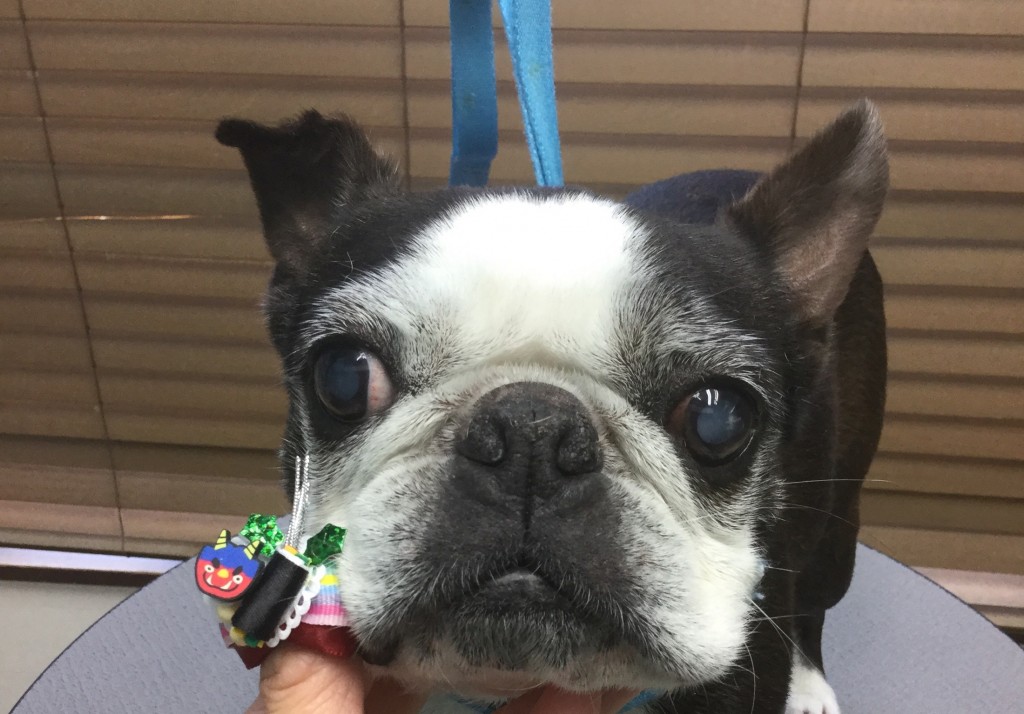 8E8C2F83-6F93-488B-B1B9-D56A33F7FC02