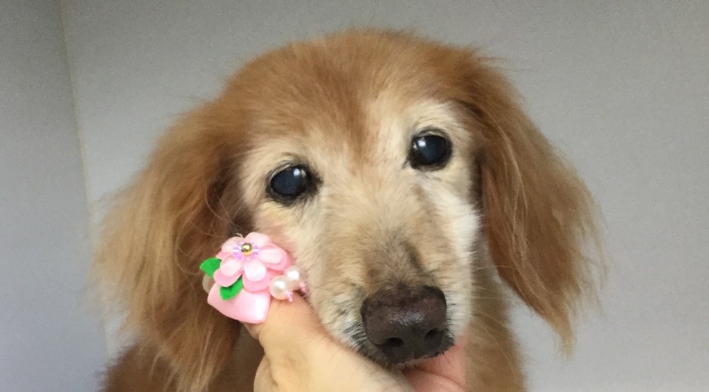 9573B870-A3B5-4C04-9823-B74F7E650C24