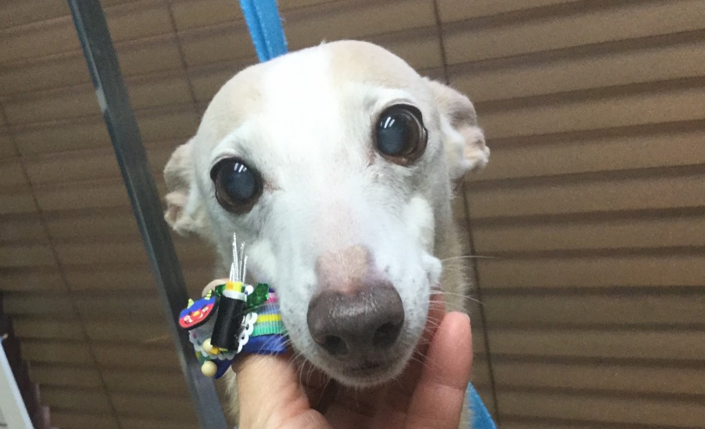 9620BC25-687E-4FC0-8457-976DB0AA233B