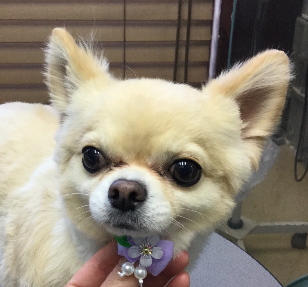 9BDE8C1A-538F-413A-AF71-758F76E2B649