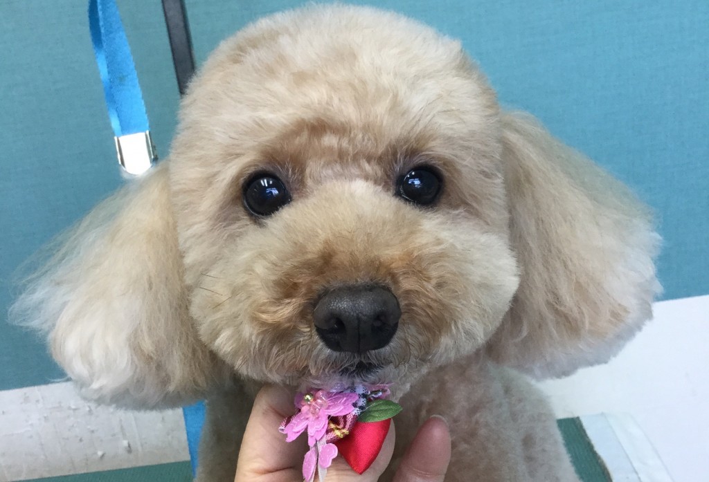 A2F65A4B-049C-48B0-A7DA-021D7E7E6B2A