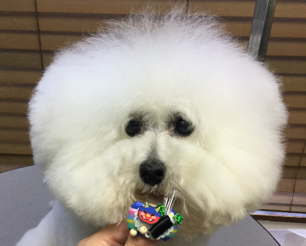 A32A7D23-ED0B-4187-86A4-21F57EFFCD72