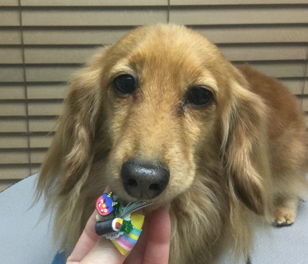 A4145662-4555-4A79-8B95-8DAC4B6CC875