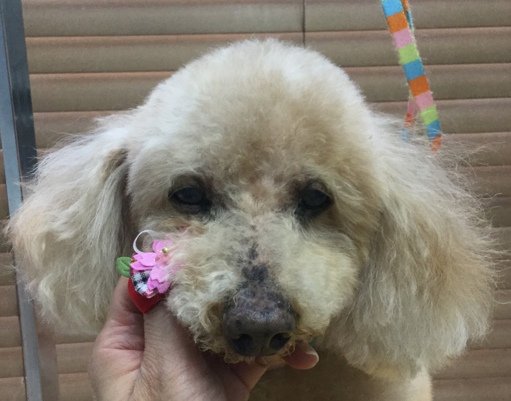 A4E4292F-9377-4EA9-94F3-010BEF8F13B6