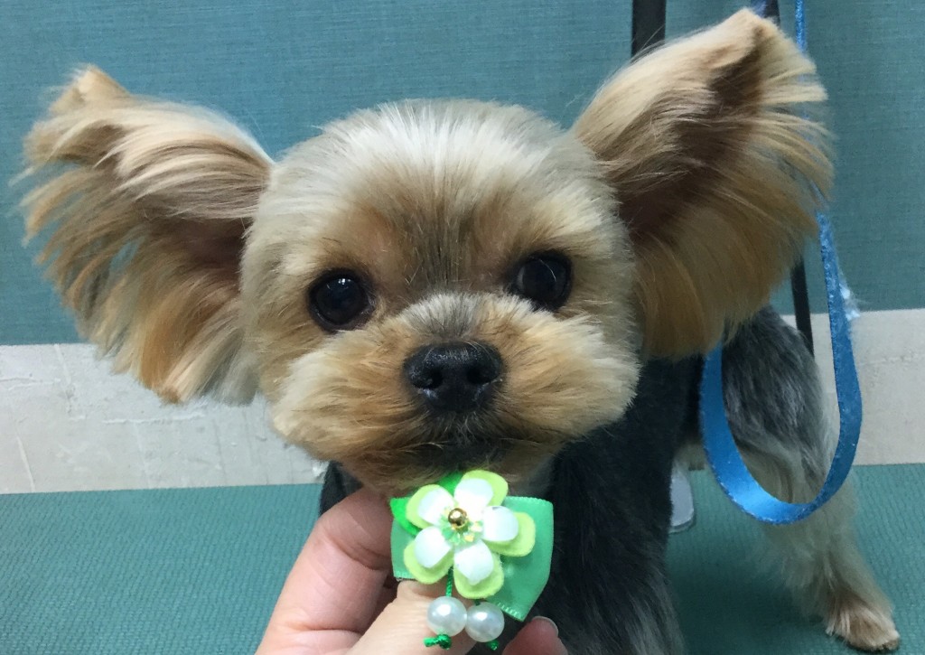 A6A18E6F-96A5-4EC4-AF77-0A43607A703F