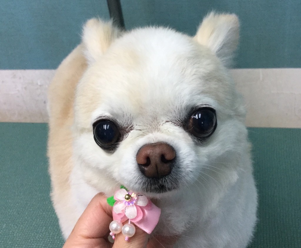 AAF298E8-8526-435C-9BDF-228FB2384B7F