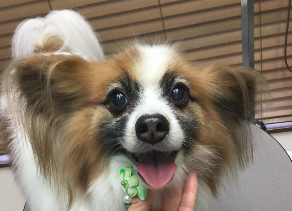 AB9591C9-91E4-406E-AE8F-829DCF7AE60C