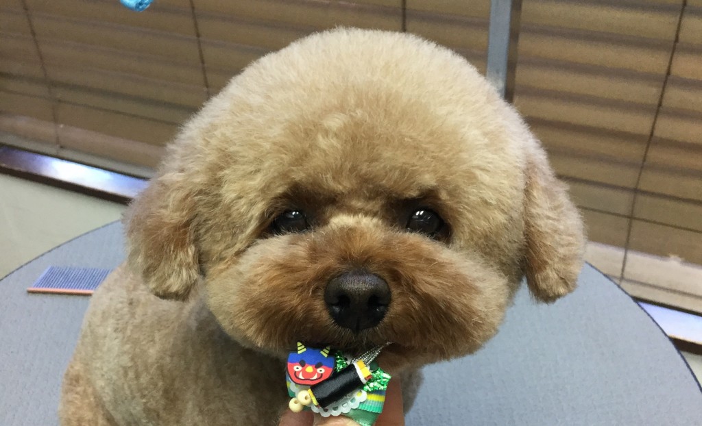 AC648EBA-E6F8-45B5-9F15-0483F177AF97