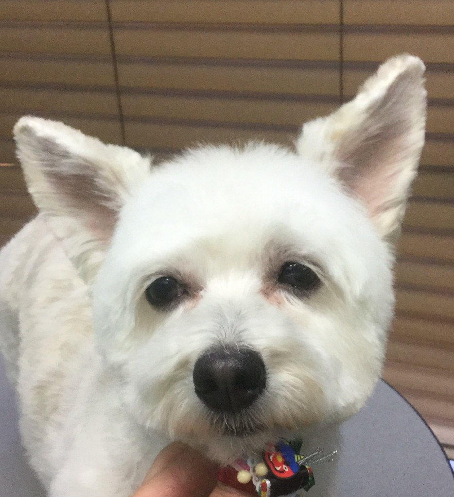 B99E8983-B5D1-40FA-B68C-C248F0653BB4