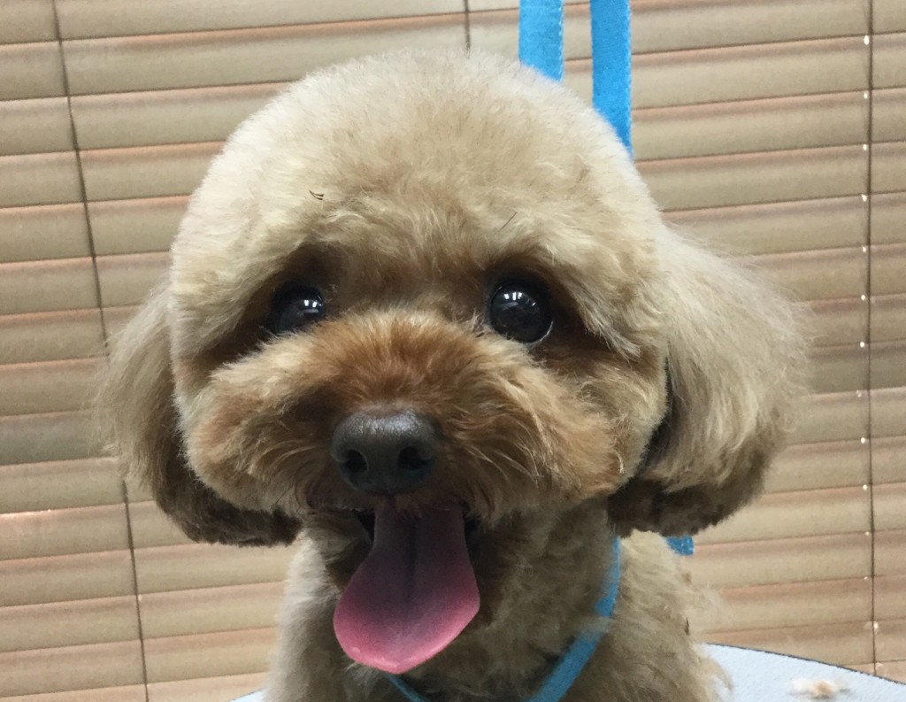 B9A5293F-98CC-47BB-ABD0-B9719DCD916C