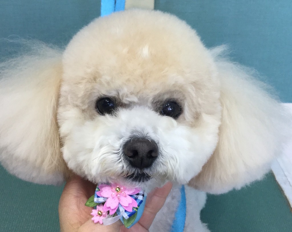 C2417055-1B9C-417E-81EF-E613A44D4BB6