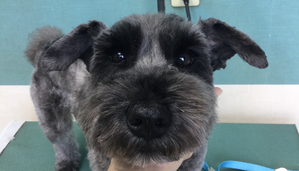 C2606A17-2624-4B65-9320-774931038BCA