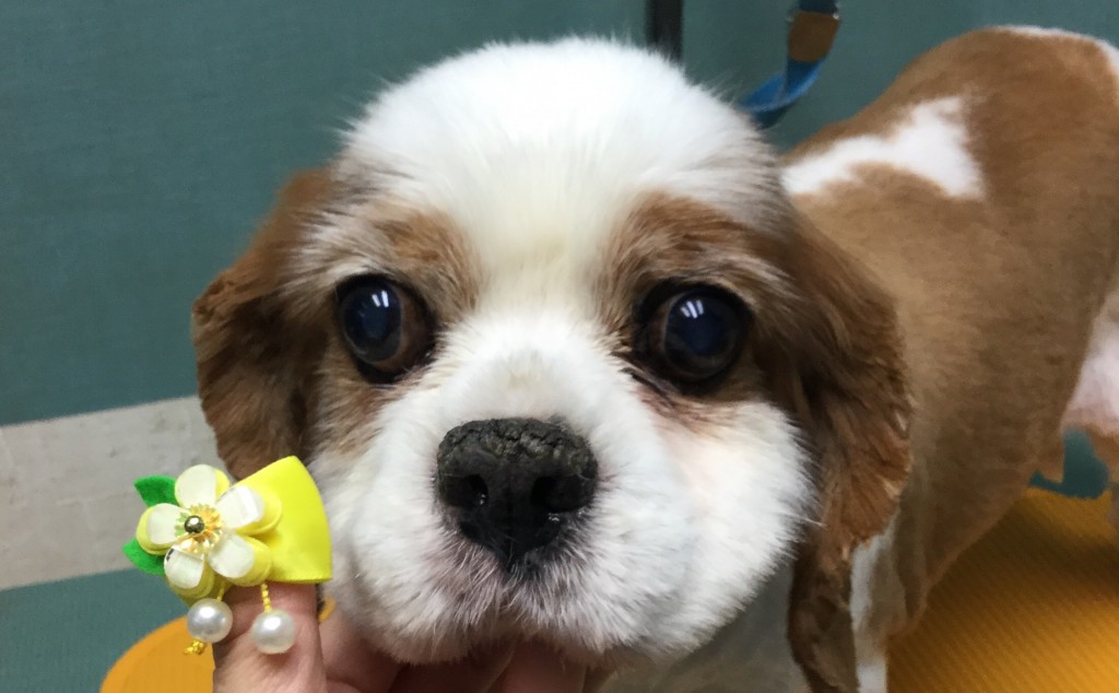 C3F15F69-4D92-44E5-A529-1733B6D1317F