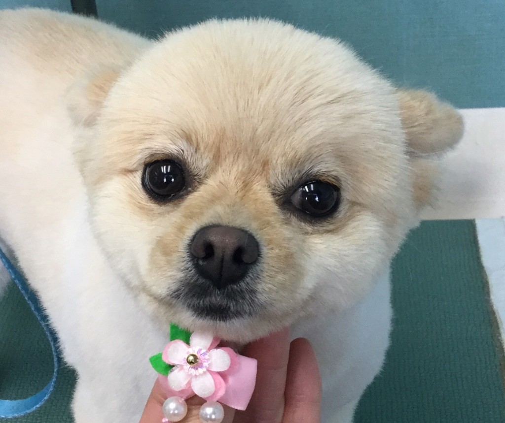 C41B285E-076A-4395-ADFE-F183FFB9C28F