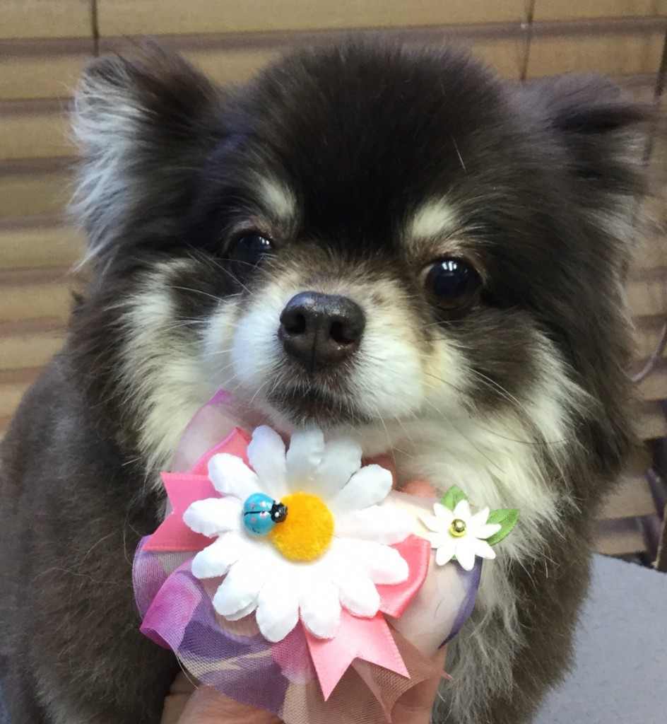 CA7F5B98-A007-464D-A06B-EB0EEA83232B