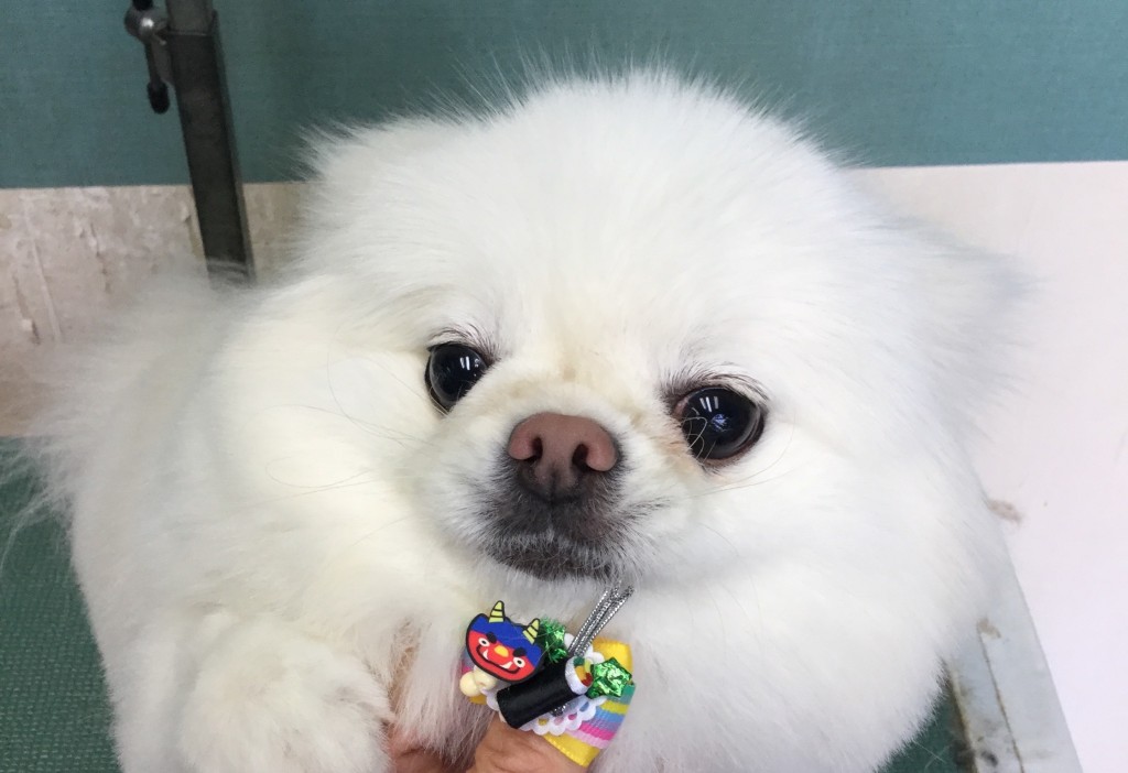 CDAF45F1-6738-4238-A61E-972C9E719115