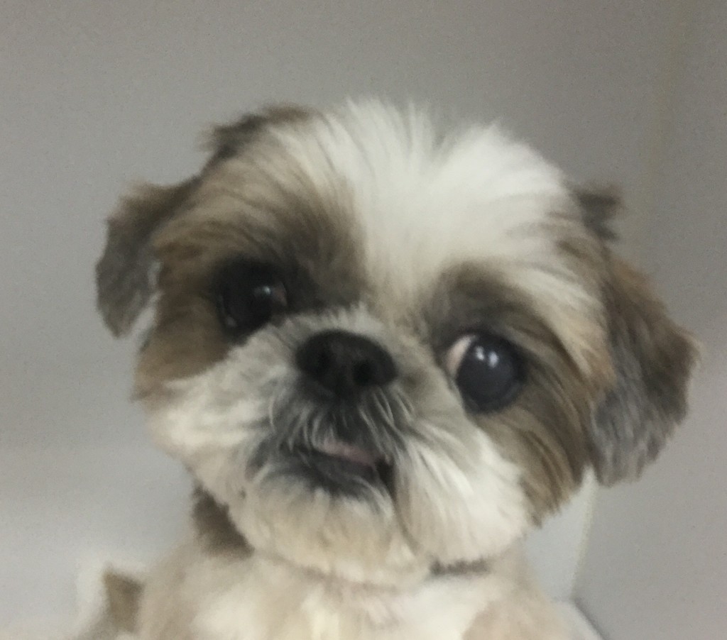 D42E8B11-FDEE-4FE3-9E3E-1B6E1F9FE6E7