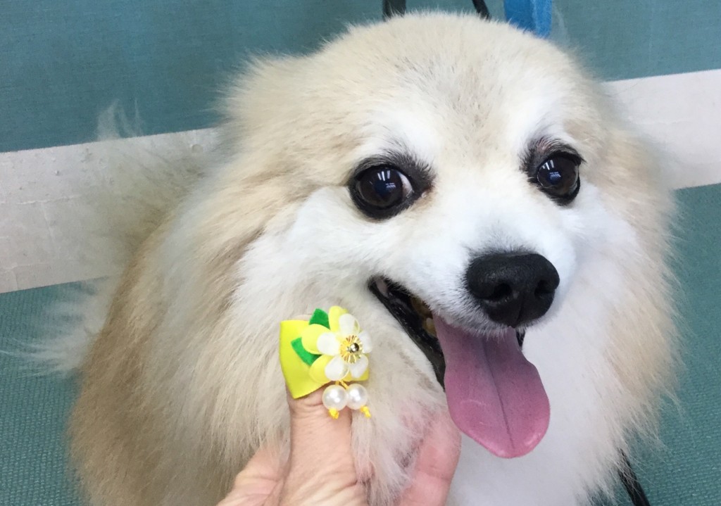 D6AECE6E-05D6-46F6-BF32-8E7BCC5A338F