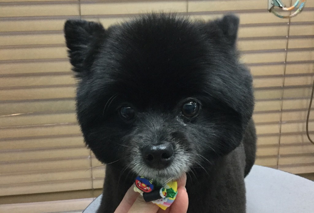 D8917F74-536A-4B8B-A3D0-206352E33D07